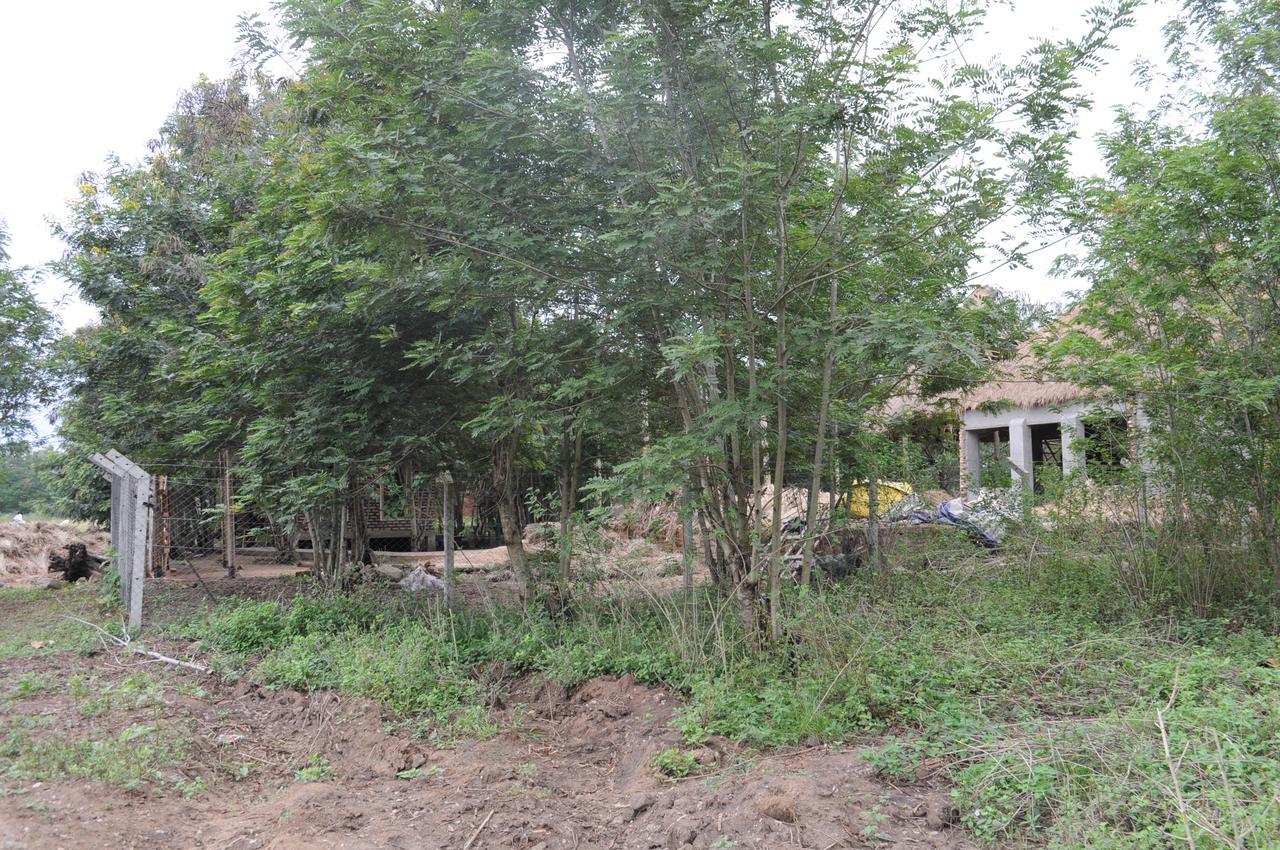 Irungu Forest Safari Lodge Katunguru Dış mekan fotoğraf