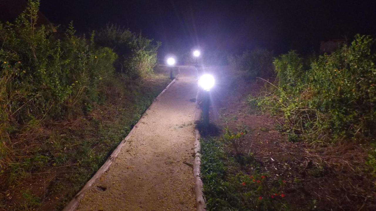 Irungu Forest Safari Lodge Katunguru Dış mekan fotoğraf