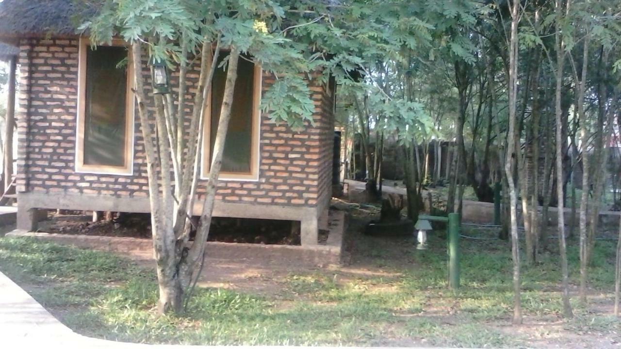Irungu Forest Safari Lodge Katunguru Dış mekan fotoğraf