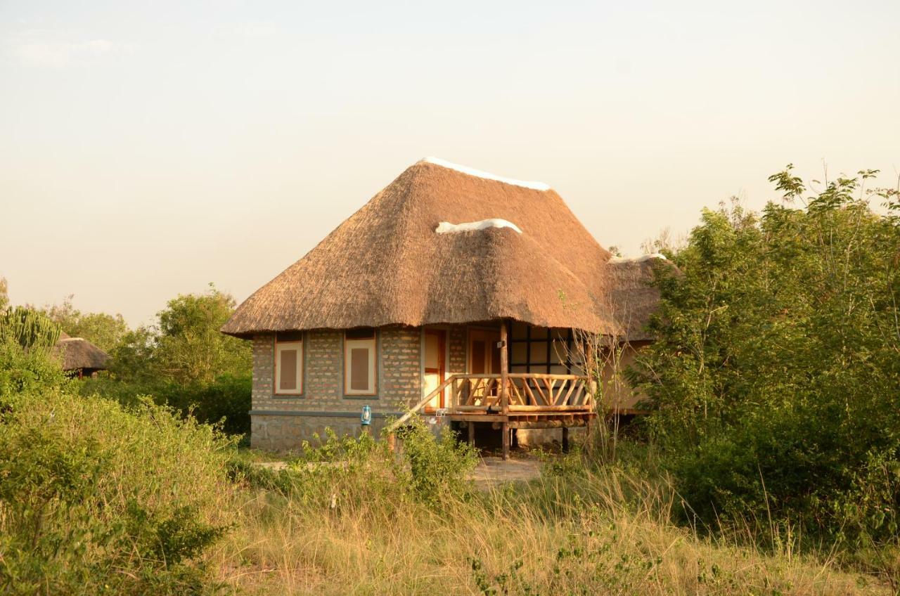 Irungu Forest Safari Lodge Katunguru Dış mekan fotoğraf