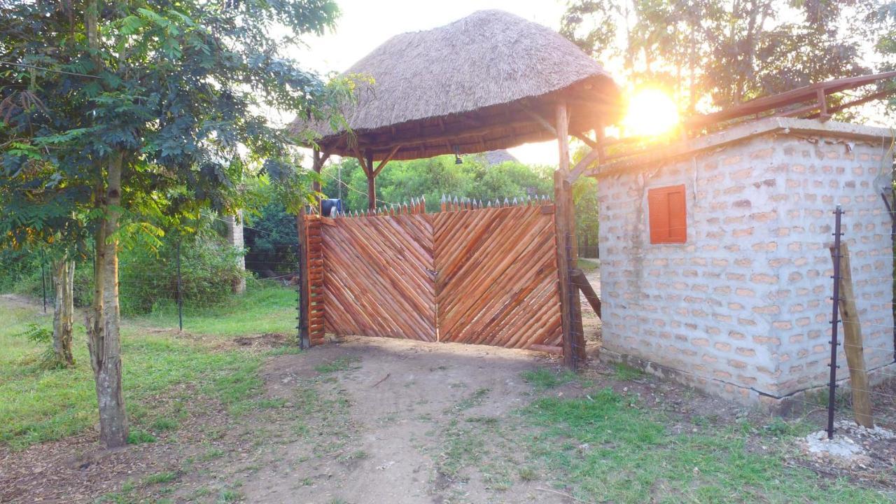 Irungu Forest Safari Lodge Katunguru Dış mekan fotoğraf