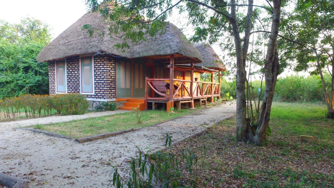 Irungu Forest Safari Lodge Katunguru Dış mekan fotoğraf